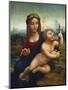 The Madonna of the Yarnwinder-Leonardo de Vinci (Follower of)-Mounted Giclee Print