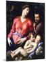 The Madonna Panciatichi-Agnolo Bronzino-Mounted Giclee Print