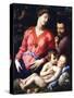 The Madonna Panciatichi-Agnolo Bronzino-Stretched Canvas