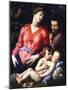 The Madonna Panciatichi-Agnolo Bronzino-Mounted Giclee Print