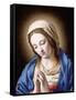 The Madonna Praying-Giovanni Battista Salvi da Sassoferrato-Framed Stretched Canvas