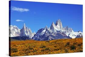 The Magnificent Mountain Range - Mount Fitzroy in Patagonia, Argentina. Summer Sunny Noon-kavram-Stretched Canvas