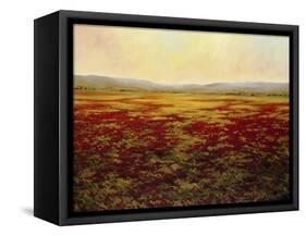 The Magnificent Season of Autumn B-Tim Howe-Framed Stretched Canvas