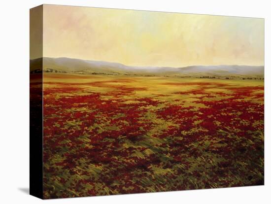 The Magnificent Season of Autumn B-Tim Howe-Stretched Canvas