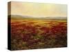 The Magnificent Season of Autumn B-Tim Howe-Stretched Canvas