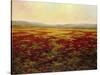 The Magnificent Season of Autumn B-Tim Howe-Stretched Canvas