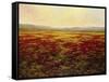 The Magnificent Season of Autumn B-Tim Howe-Framed Stretched Canvas