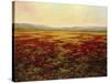 The Magnificent Season of Autumn B-Tim Howe-Stretched Canvas