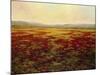 The Magnificent Season of Autumn B-Tim Howe-Mounted Giclee Print