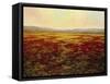 The Magnificent Season of Autumn B-Tim Howe-Framed Stretched Canvas