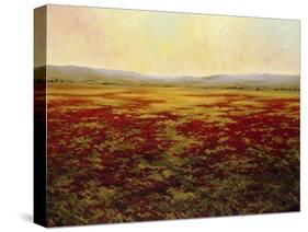 The Magnificent Season of Autumn B-Tim Howe-Stretched Canvas