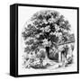 The Magnolia Tree-null-Framed Stretched Canvas