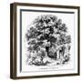 The Magnolia Tree-null-Framed Giclee Print