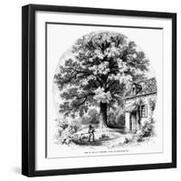 The Magnolia Tree-null-Framed Giclee Print