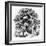 The Magnolia Tree-null-Framed Giclee Print