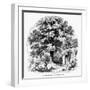 The Magnolia Tree-null-Framed Giclee Print