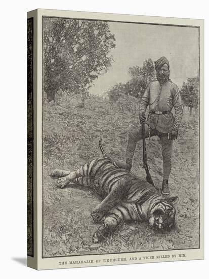 The Maharajah of Tikumgurh, and a Tiger Killed by Him-null-Stretched Canvas
