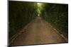 The Main Driveway That Greets You at Hacienda Itzincab-Camara Near Merida, Mexico-Eric Peter Black-Mounted Photographic Print