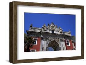 The Main Gate, Dolmabahce Palace, Istanbul, Turkey-Neil Farrin-Framed Photographic Print