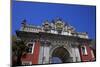 The Main Gate, Dolmabahce Palace, Istanbul, Turkey-Neil Farrin-Mounted Photographic Print