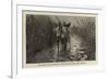 The Main Road Between the Kwakwa and the Zambesi-null-Framed Giclee Print