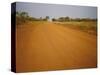 The Main Road from Cameroun to the Capital Bangui, Central African Republic, Africa-David Poole-Stretched Canvas