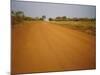 The Main Road from Cameroun to the Capital Bangui, Central African Republic, Africa-David Poole-Mounted Photographic Print