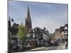 The Main Street, Lyndhurst, New Forest, Hampshire, England, United Kingdom, Europe-James Emmerson-Mounted Photographic Print