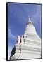 The Main Stupa at Wat Phnom, Phnom Penh, Cambodia-null-Framed Stretched Canvas