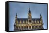 The Maison Du Roi in Brussels, Belgium.-Anibal Trejo-Framed Stretched Canvas
