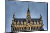 The Maison Du Roi in Brussels, Belgium.-Anibal Trejo-Mounted Photographic Print