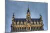The Maison Du Roi in Brussels, Belgium.-Anibal Trejo-Mounted Photographic Print