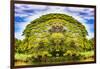 The Majestic Tree-Philippe Sainte-Laudy-Framed Photographic Print