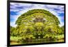 The Majestic Tree-Philippe Sainte-Laudy-Framed Photographic Print