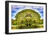 The Majestic Tree-Philippe Sainte-Laudy-Framed Photographic Print