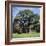 The Major Oak (Robin Hood Tree), Sherwood Forest, Nottinghamshire, England-L Bond-Framed Photographic Print