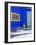 The Majorelle Gardens, Marrakech, Morocco, North Africa, Africa-Charlie Harding-Framed Photographic Print