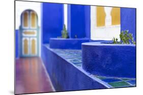 The Majorelle Gardens, Marrakech, Morocco, North Africa, Africa-Charlie Harding-Mounted Photographic Print