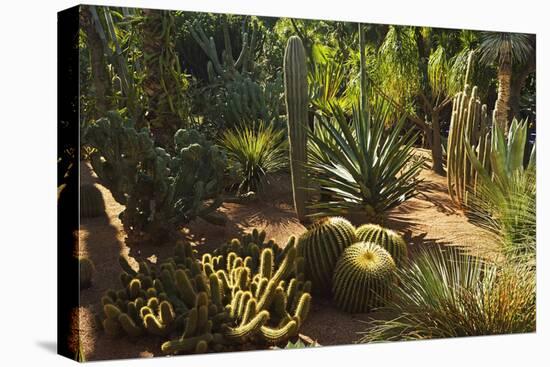 The Majorelle Gardens, Marrakesh, Morocco, North Africa, Africa-Jochen Schlenker-Stretched Canvas