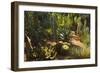 The Majorelle Gardens, Marrakesh, Morocco, North Africa, Africa-Jochen Schlenker-Framed Photographic Print