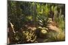 The Majorelle Gardens, Marrakesh, Morocco, North Africa, Africa-Jochen Schlenker-Mounted Photographic Print