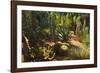 The Majorelle Gardens, Marrakesh, Morocco, North Africa, Africa-Jochen Schlenker-Framed Photographic Print