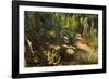 The Majorelle Gardens, Marrakesh, Morocco, North Africa, Africa-Jochen Schlenker-Framed Photographic Print