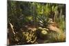 The Majorelle Gardens, Marrakesh, Morocco, North Africa, Africa-Jochen Schlenker-Mounted Photographic Print