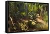 The Majorelle Gardens, Marrakesh, Morocco, North Africa, Africa-Jochen Schlenker-Framed Stretched Canvas