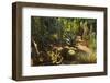 The Majorelle Gardens, Marrakesh, Morocco, North Africa, Africa-Jochen Schlenker-Framed Photographic Print