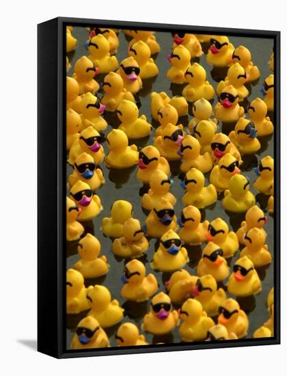 The Make-A-Wish Foundation Releases Rubber Ducks into the Ocean-null-Framed Stretched Canvas