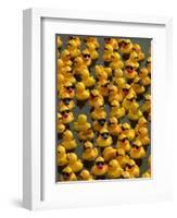 The Make-A-Wish Foundation Releases Rubber Ducks into the Ocean-null-Framed Photographic Print