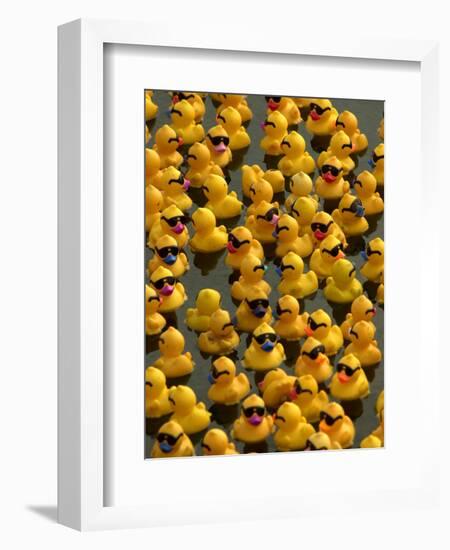 The Make-A-Wish Foundation Releases Rubber Ducks into the Ocean-null-Framed Photographic Print