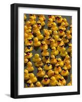 The Make-A-Wish Foundation Releases Rubber Ducks into the Ocean-null-Framed Photographic Print